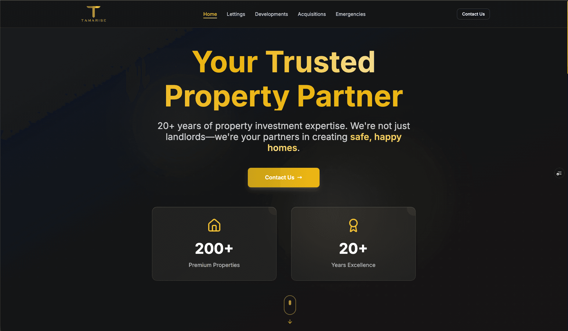 Tamarise website preview